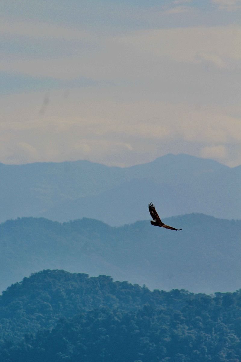 Ecological Reserves