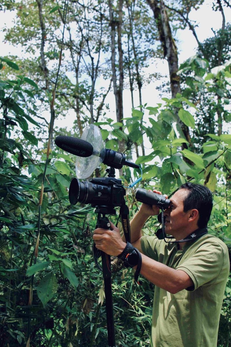 Professional Birdguides
